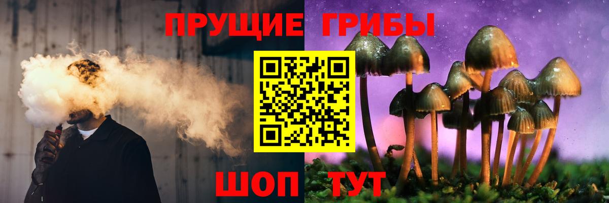 Галлюциногенные грибы MAGIC MUSHROOMS  Вход с VPN  Шебекино 